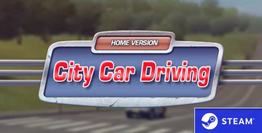 City Car Driving City Car Driving