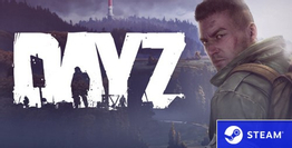 DayZ DayZ