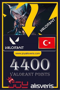 4400 VP Valorant Point