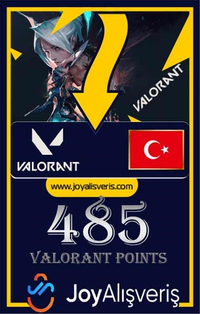 485 VP Valorant Point