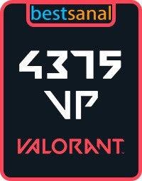 4375 VP Valorant Point