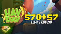 Elmas Kutusu (570 + 57)