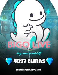 Bigo Live 4897 Elmas