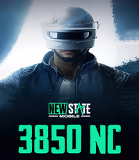 New State - 3850 NC
