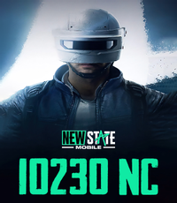 New State - 10230 NC